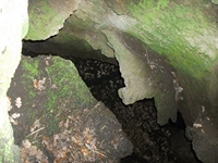 otta delle Femmine27052012 081